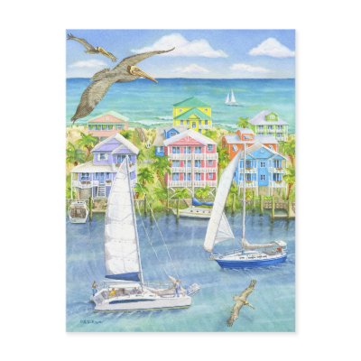 Pelican Point of View Postcard by BarbaraBayerArt