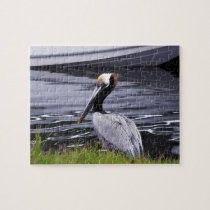 Pelican Poser Puzzles