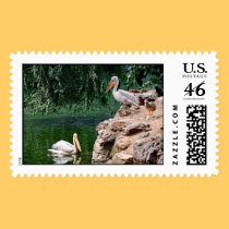 A pair of pelicans are featured on this book of stamps