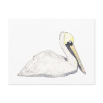 Pelican Postcard by ginyhogan Pelican Postcard