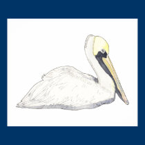 Pelican Posters & Prints posters