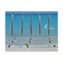 Pelican Posts Aruba Postcard
