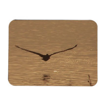 Pelican Premium Magnet