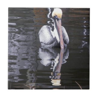 Pelican Reflecting Tiles