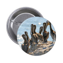 Pelican Rock Pinback Button