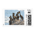 Pelican Rock postage