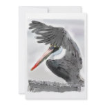 Pelican Salute Invites