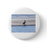 Pelican - Seabrook Island SC Buttons Pelican - Seabrook Island SC Buttons