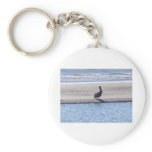 Pelican - Seabrook Island SC Key Chains Pelican - Seabrook Island SC Key Chains