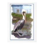 Pelican Sentry Announcement