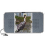 Pelican Sentry Portable Speaker