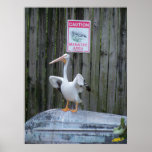 Pelican "Slow Down" posters