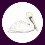 Pelican Sticker