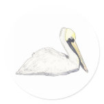 Pelican Sticker