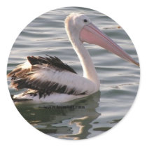 pelican stickers