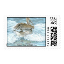Pelican Surf Postage Stamps
