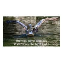 pelican, The view never changes posters