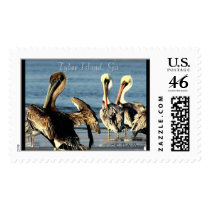 Pelican Trio postage by dreagan07 Pelican Trio postage