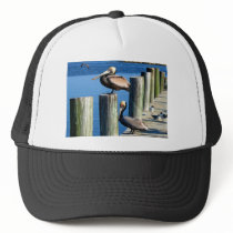 Pelican watch hat
