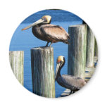 Pelican watch fridge magnets