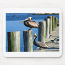 Pelican watch mouse pad