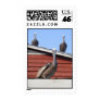 Pelican Watch