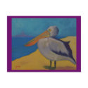 Pelican Watch - Postcard