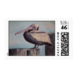 Pelican Watercolor Art Postage Stamp