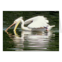 Pelican with its mouth wide open!!! card