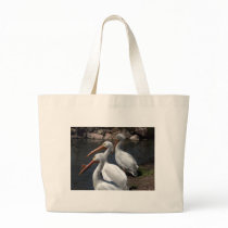 pelicans,3 bags
