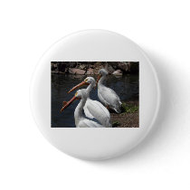 pelicans,3 button