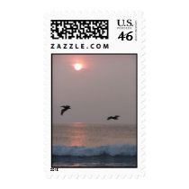 Pelicans at Sunrise postage by closphotos Pelicans at Sunrise postage