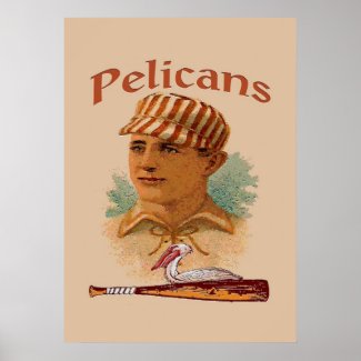Pelicans Baseball Poster print