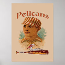 Pelicans Baseball Poster posters