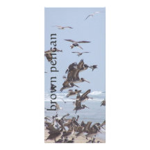 Pelicans Book Mark Rack Card