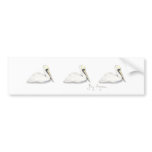 Pelicans Bumper Sticker