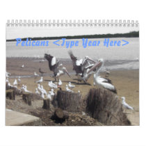 Pelicans Wall Calendars