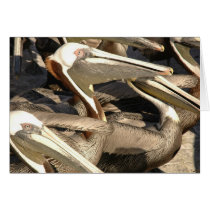 Pelicans cards by GKGallery Pelicans cards