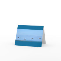 Pelicans cards