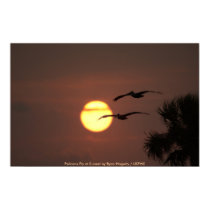Pelicans Fly at Sunset posters by moxieann Pelicans Fly at Sunset posters