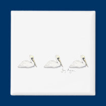 Pelicans Magnet magnets
