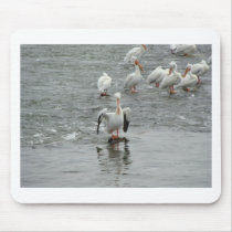 Pelicans mousepads by litehrse Pelicans mousepads