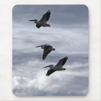 Pelicans Mousepad
