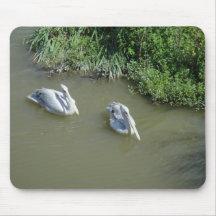 Pelicans Mousepad