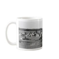Pelicans mugs