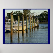 Pelicans on Piers Posters
