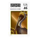 pelicans