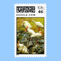 PELICANS stamps