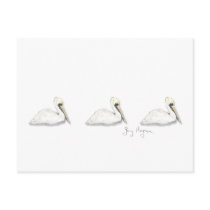 Pelicans Postcard by ginyhogan Pelicans Postcard