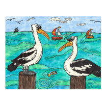 Pelicans Postcard